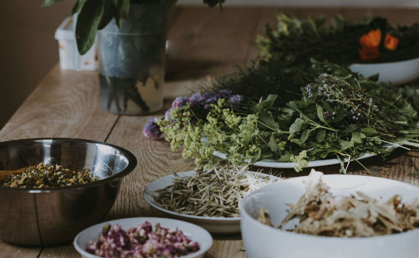 Herb picking ハーブピッキング体験