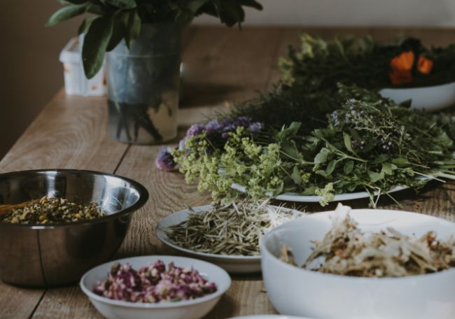 Herb picking 香草采摘体验