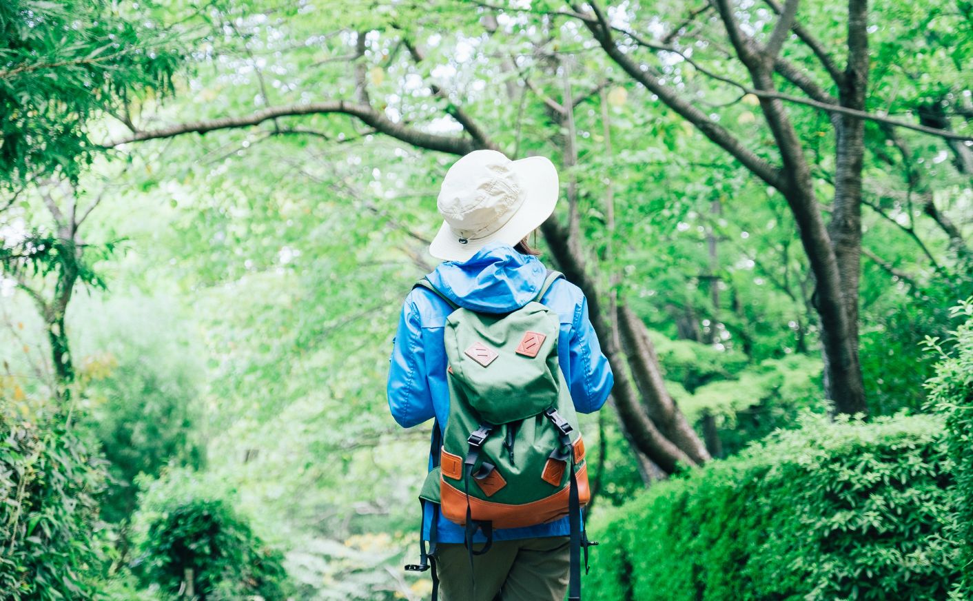 Nature walking 自然漫步（私人導覽）